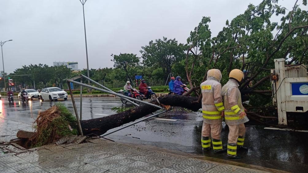 da nang hang loat cay xanh tren cac tuyen pho nga do do anh huong cua bao