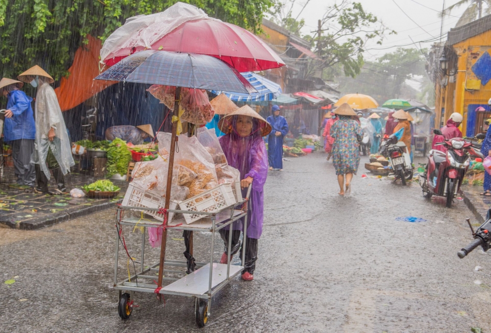 Người dân phố cổ Hội An đội mưa, lội lụt đi chợ Người dân phố cổ Hội An đội mưa, lội lụt đi chợ