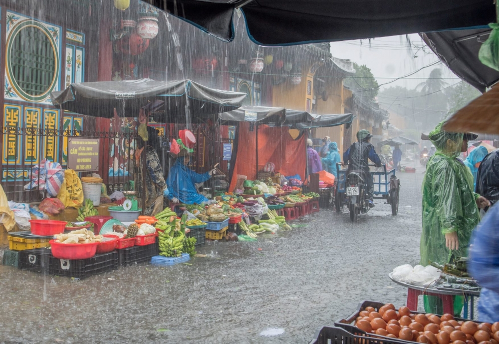 Người dân phố cổ Hội An đội mưa, lội lụt đi chợ Người dân phố cổ Hội An đội mưa, lội lụt đi chợ