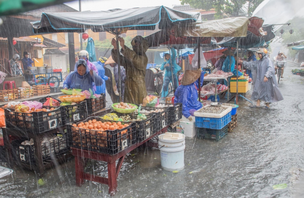 Người dân phố cổ Hội An đội mưa, lội lụt đi chợ Người dân phố cổ Hội An đội mưa, lội lụt đi chợ
