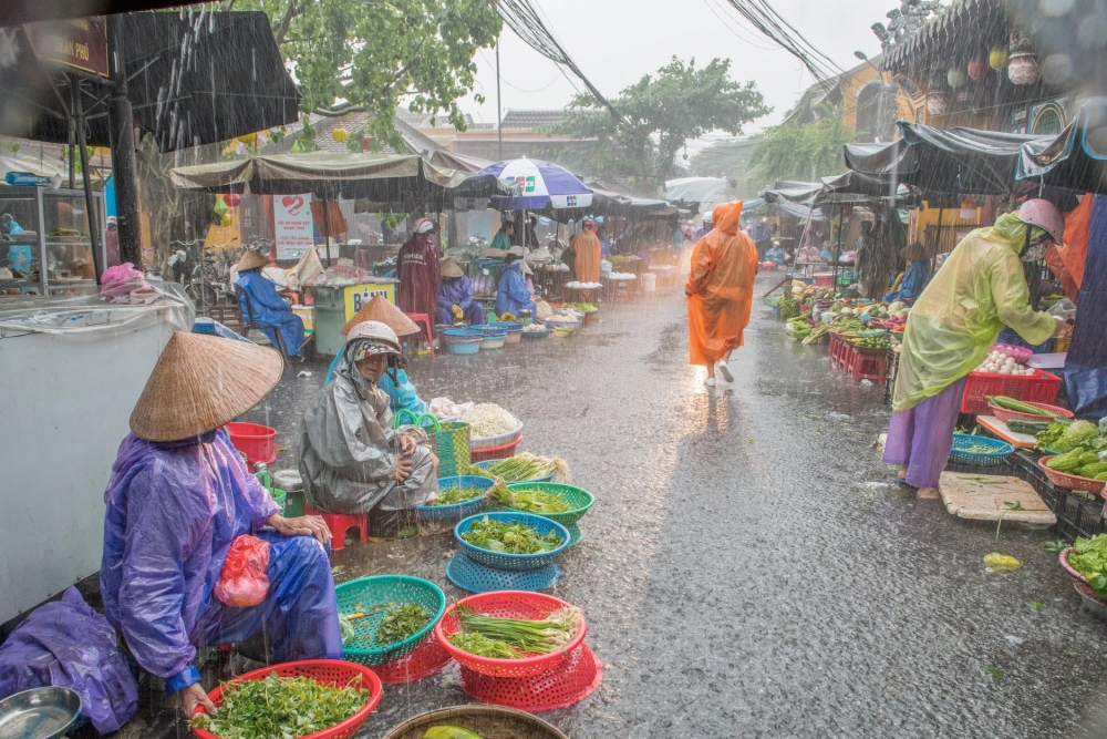 Người dân phố cổ Hội An đội mưa, lội lụt đi chợ Người dân phố cổ Hội An đội mưa, lội lụt đi chợ