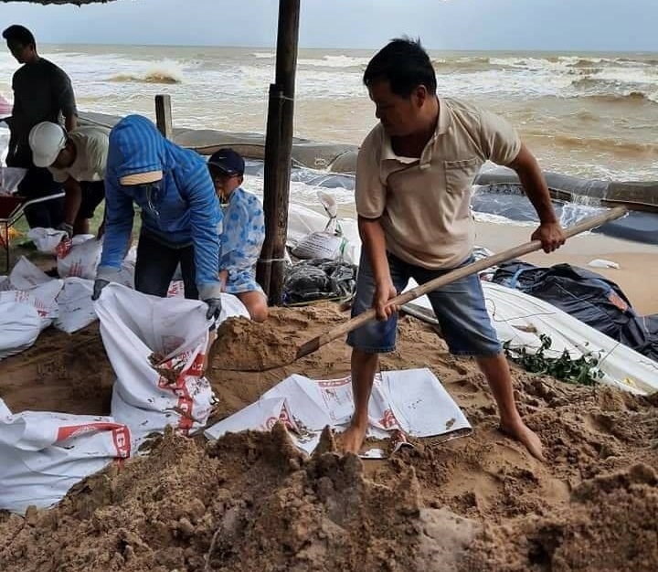 Hàng trăm người tình nguyện gia cố bờ Biển Cửa Đại, Hội An