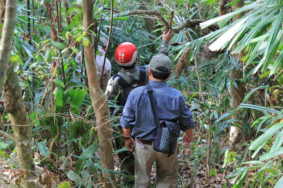 da nang len ban dao son tra ngam canh phai duoc cap the