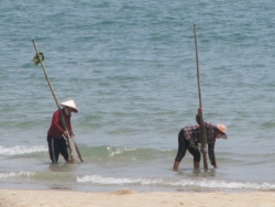 Nghề "giật lùi" ở miền biển lặng