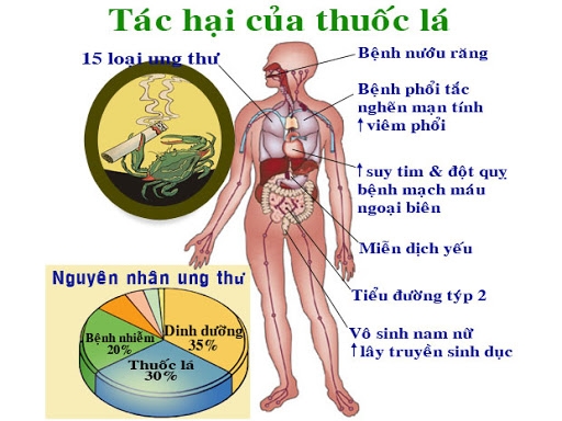 Bộ Thông tin Truyền thông tổ chức tập huấn phòng chống tác hại của thuốc lá tại Đà Nẵng