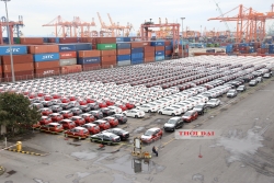 Ô tô nhập ồ ạt về nước, 