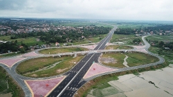 Huỷ đấu thầu quốc tế, nhà thầu 