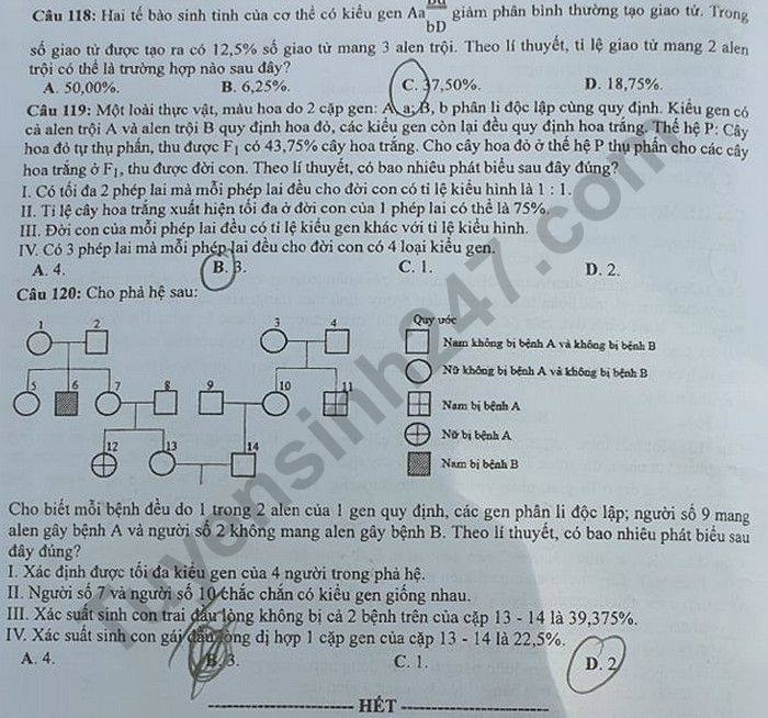 de thi mon sinh hoc tot nghiep thpt quoc gia 2020 dot 2
