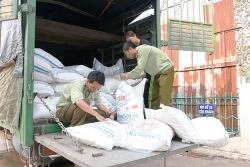 Tăng cường kiểm tra việc kinh doanh mặt hàng đường cát dịp cuối năm
