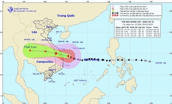 Bão số 9 (Molave) cách Phú Yên 180km, gió giật cấp 16