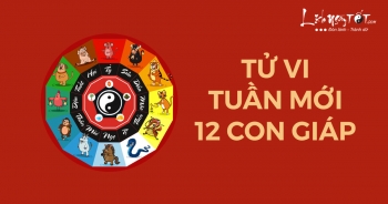 Tử vi tuần mới của 12 con giáp (17-23/3/2025): Sửu vất vả, Tý có lộc
