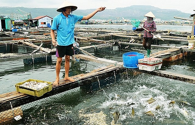 Hỗ trợ 102 tỷ đồng để phát triển thủy sản