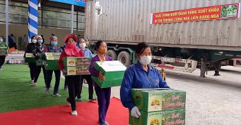 Bưởi Đoan Hùng lần đầu 