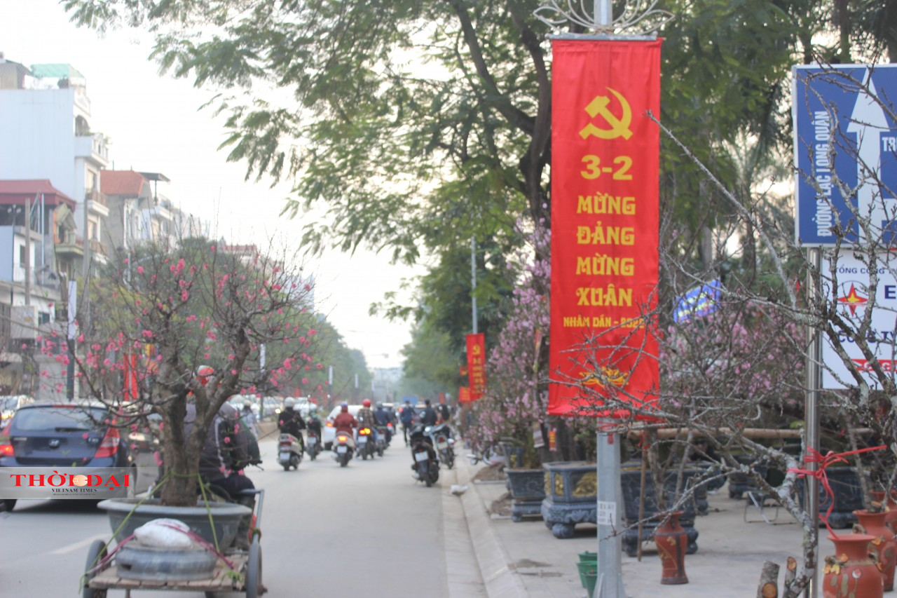 Không khí Tết tràn ngập tại các phố phường ở Hà Nội