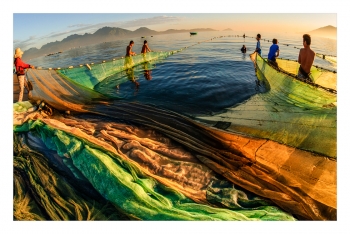 ve dep viet nam