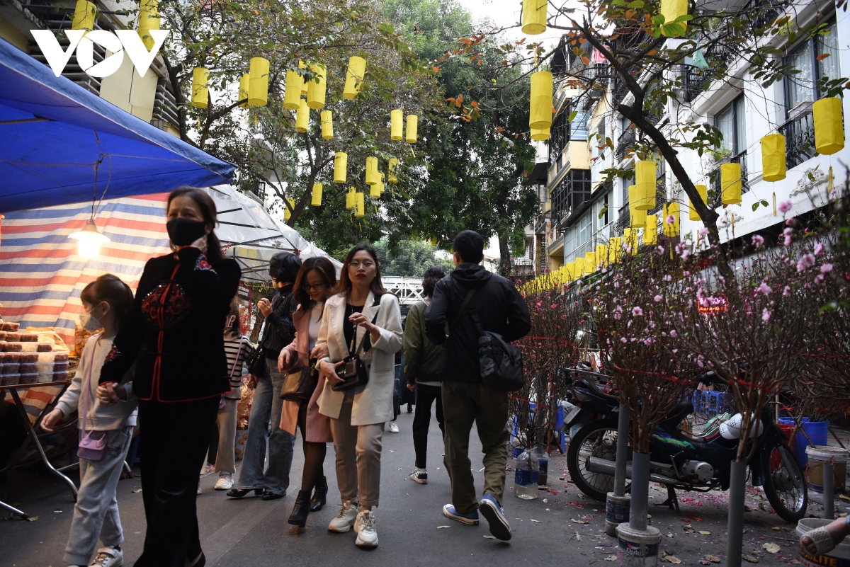 Duong pho thu do tuoi sac hong, ron rang khong khi tet co truyen hinh anh 10