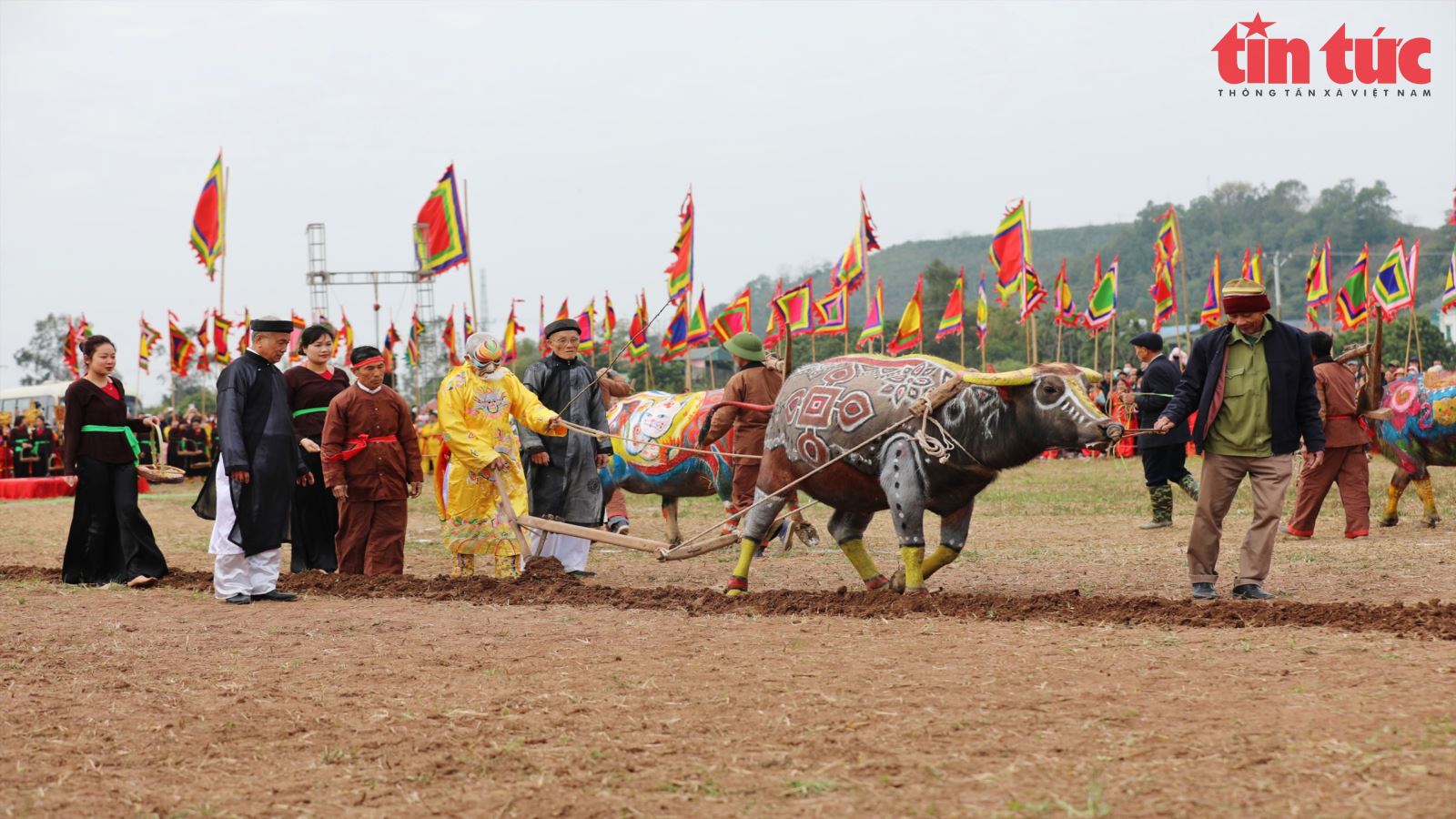 Tái hiện nghi lễ vua Lê Đại Hành cày Tịch điền tại Lễ hội Tịch điền Đọi Sơn 2023