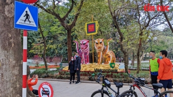 Một Hà Nội đẹp nôn nao trong bình yên sáng mùng 1 Tết