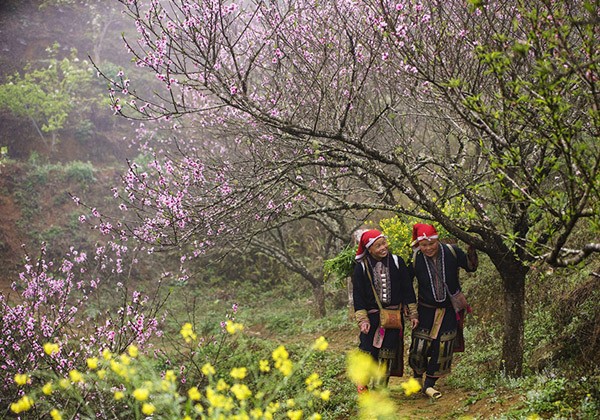 Bắc Bộ rét đậm, rét hại đến ngày mùng 5 Tết Nhâm Dần 2022 - Ảnh minh họa.