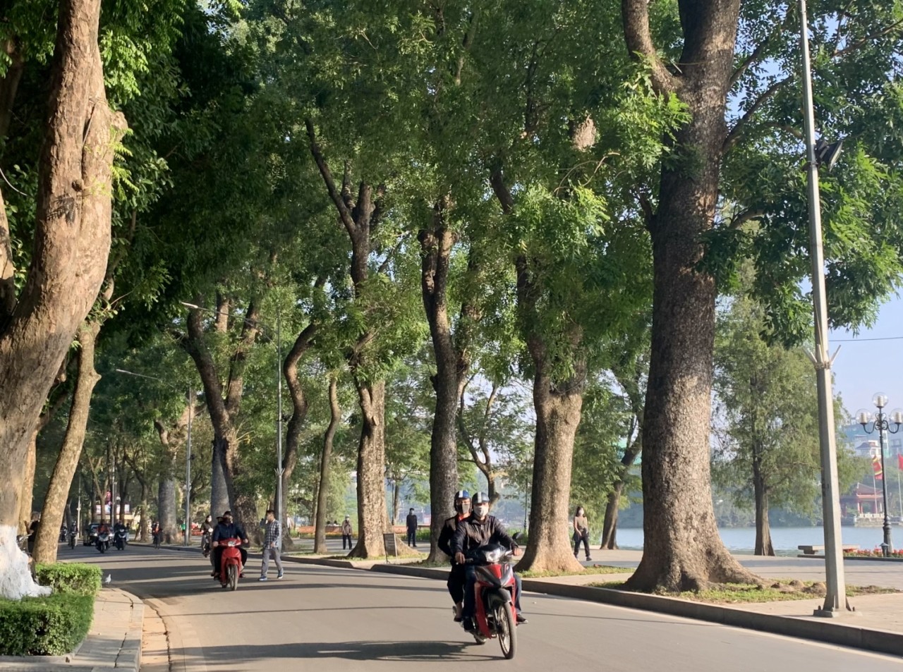 Hà Nội trời rét, ngày có nắng - Ảnh minh họa.