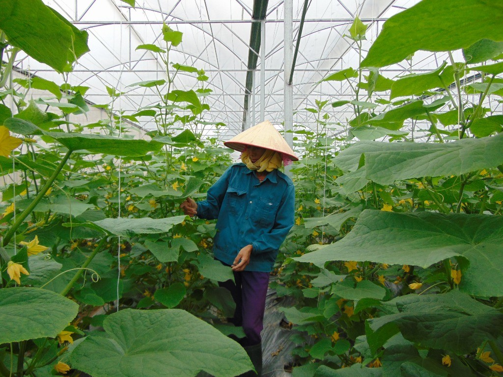 Quy hoạch tỉnh Bắc Giang thời kỳ 2021 - 2030, tầm nhìn đến năm 2050