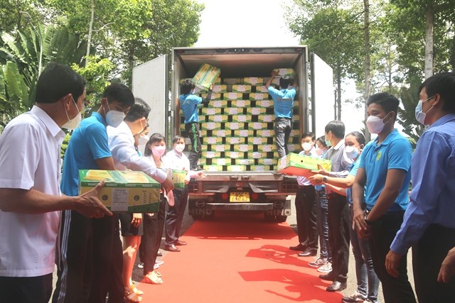 Đồng Tháp công bố xuất khẩu lô xoài đầu năm sang thị trường châu Âu | Báo Công Thương