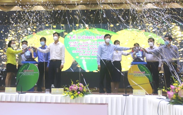 Đồng Tháp công bố xuất khẩu lô xoài đầu năm sang thị trường châu Âu | Báo Công Thương