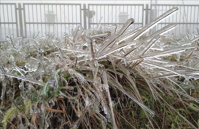 Lạng Sơn: băng giá đông kết cửa nhà, phủ kín cây cỏ trên đỉnh Mẫu Sơn Chú thích ảnh