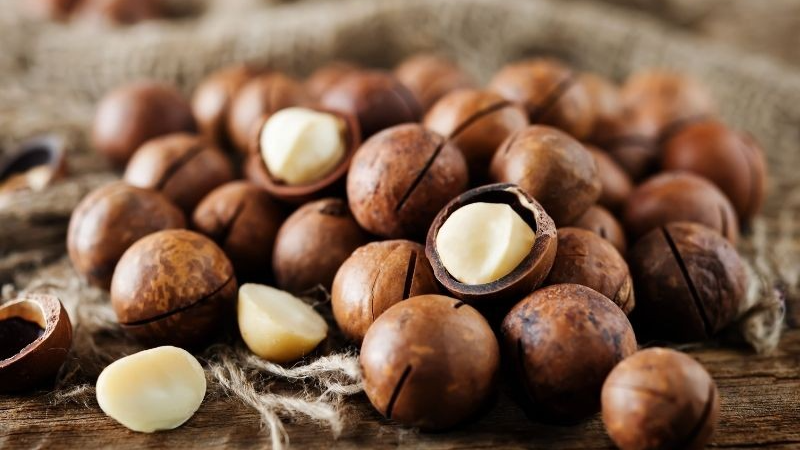 Phát triển macca thành ngành hàng sản xuất hiệu quả, bền vững | Báo Công Thương