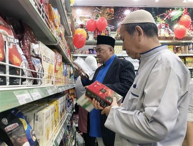 Tiềm năng hợp tác giữa Việt Nam-Malaysia trong giai đoạn hậu COVID-19 | Kinh tế | Vietnam+ (VietnamPlus)