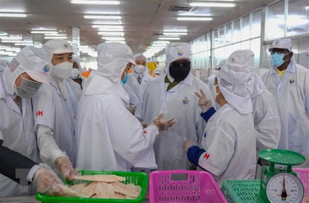 Chiều 18/3, Tổng thống Julius Maada Bio cùng Phu nhân và Đoàn đại biểu cấp cao nước Cộng hòa Sierra Leone đã thăm Viện Lúa Đồng bằng sông Cửu Long và Nhà máy chế biến thủy sản Ấn Độ Dương tại thành phố Cần Thơ.