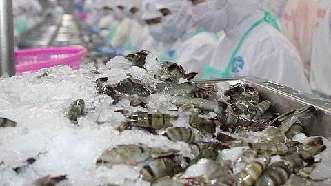 Tháng Xuất khẩu tôm dự báo tăng trưởng 40% trong tháng 3/2022
