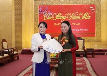 Ninh Bình mong muốn tăng cường hợp tác với nhiều địa phương của Nhật Bản