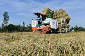 Phương pháp xử lý rơm thân thiện môi trường ở Việt Nam lên truyền thông quốc tế