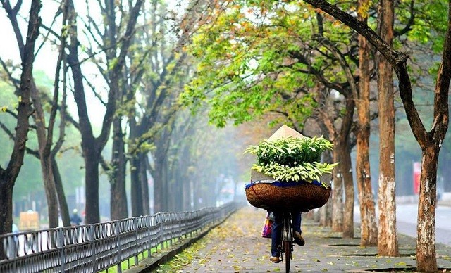 Hà Nội sáng và đêm trời rét - Ảnh minh họa.