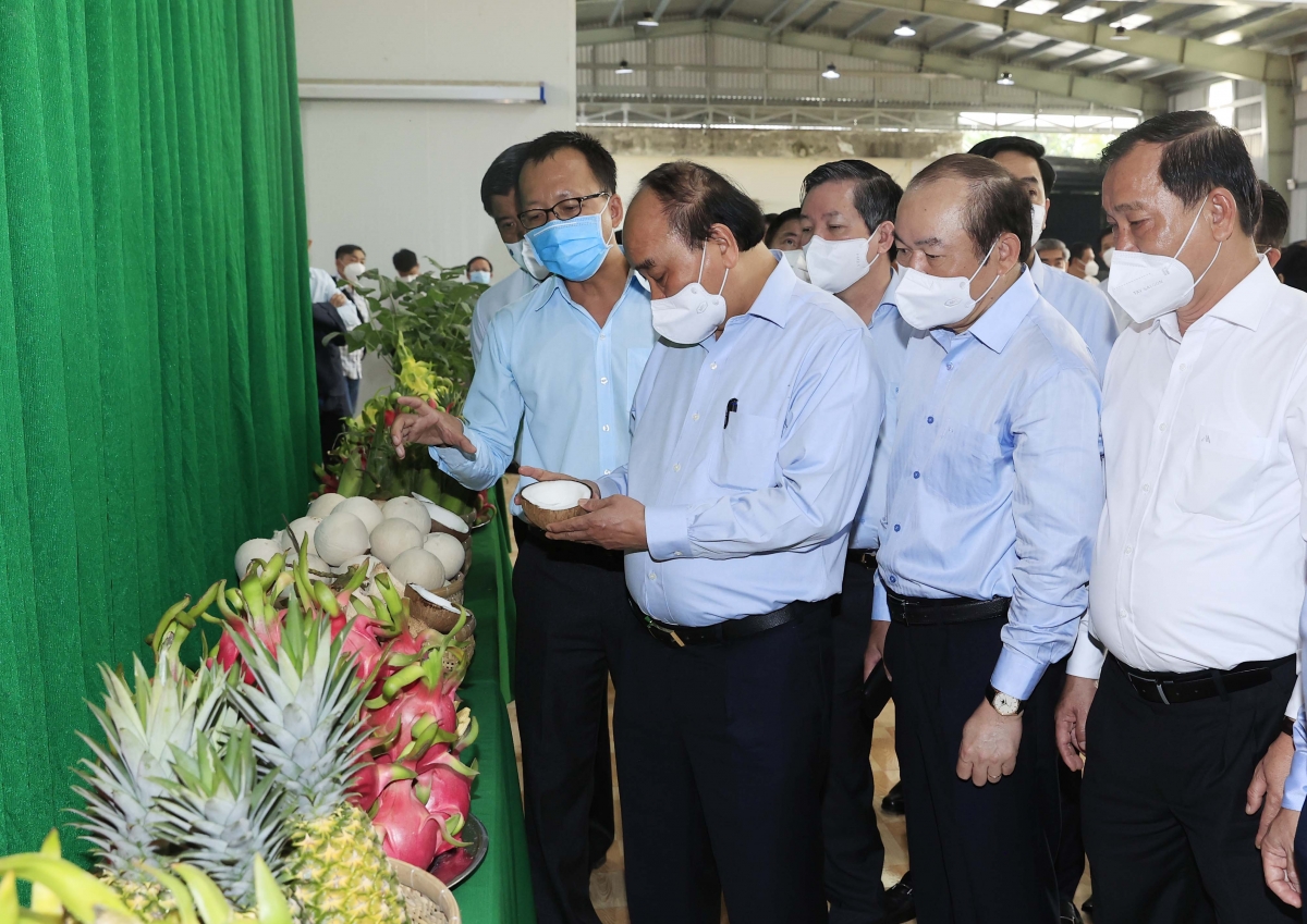 Lãnh đạo HTX cho biết, sản phẩm thanh long của HTX đạt tiêu chuẩn xuất khẩu châu Âu, Mỹ và Australia.