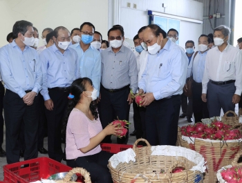 Chủ tịch nước thăm mô hình HXT tại Tiền Giang có sản phẩm đạt tiêu chuẩn xuất khẩu châu Âu