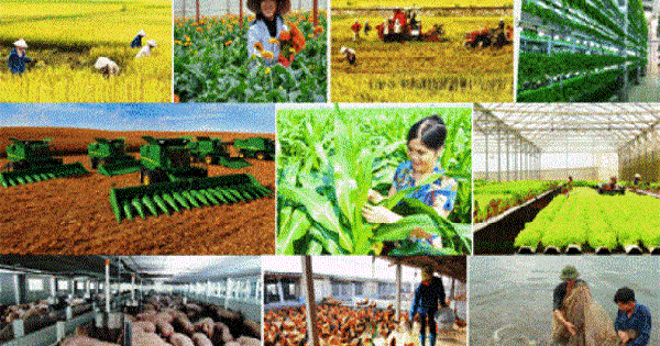 Chính sách mới về hỗ trợ bảo hiểm nông nghiệp