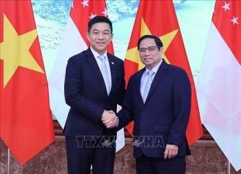 Thủ tướng Phạm Minh Chính tiếp Chủ tịch Quốc hội Singapore Tan Chuan-Jin