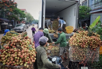 Xây dựng cơ chế, chính sách xúc tiến thương mại, phát triển thị trường nông sản