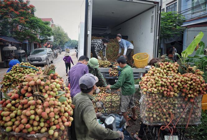 Xây dựng cơ chế, chính sách xúc tiến thương mại, phát triển thị trường nông sản