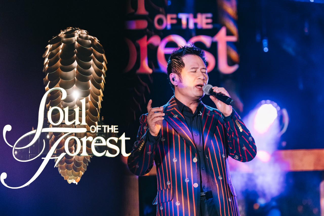 Ca sĩ Bằng Kiều xúc động khi lần đầu hát giữa rừng thông trong Soul Of The Forest Ca sĩ Bằng Kiều xúc động khi lần đầu hát giữa rừng thông trong Soul Of The Forest