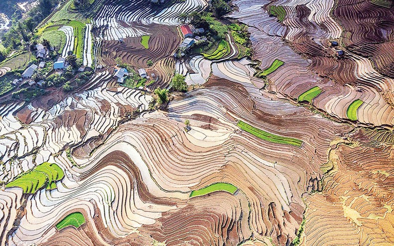 Ruộng bậc thang mùa đổ ải ảnh 1