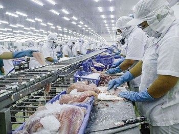Doanh nghiệp thủy sản vẫn gặp khó trong hoạt động 