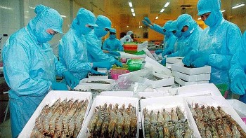 Nhu cầu thủy sản của EU hồi phục, cần tận dụng cơ hội trong những tháng cuối năm