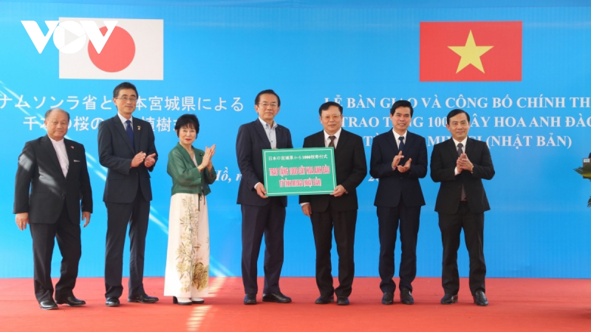 1.000 cay hoa anh Dao tu nhat ban duoc tang cho huyen van ho, tinh son la hinh anh 1