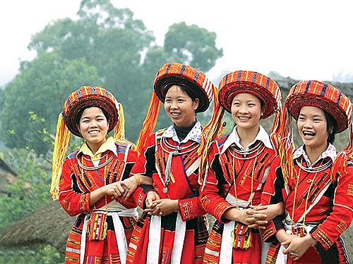 Ảnh minh họa