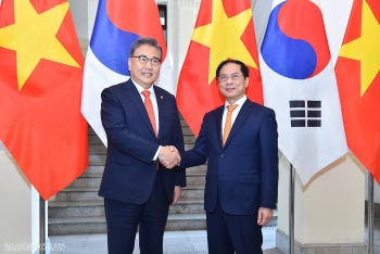 Bộ trưởng Ngoại giao Bùi Thanh Sơn mong muốn Hàn Quốc tăng cường nhập khẩu nông sản Việt Nam