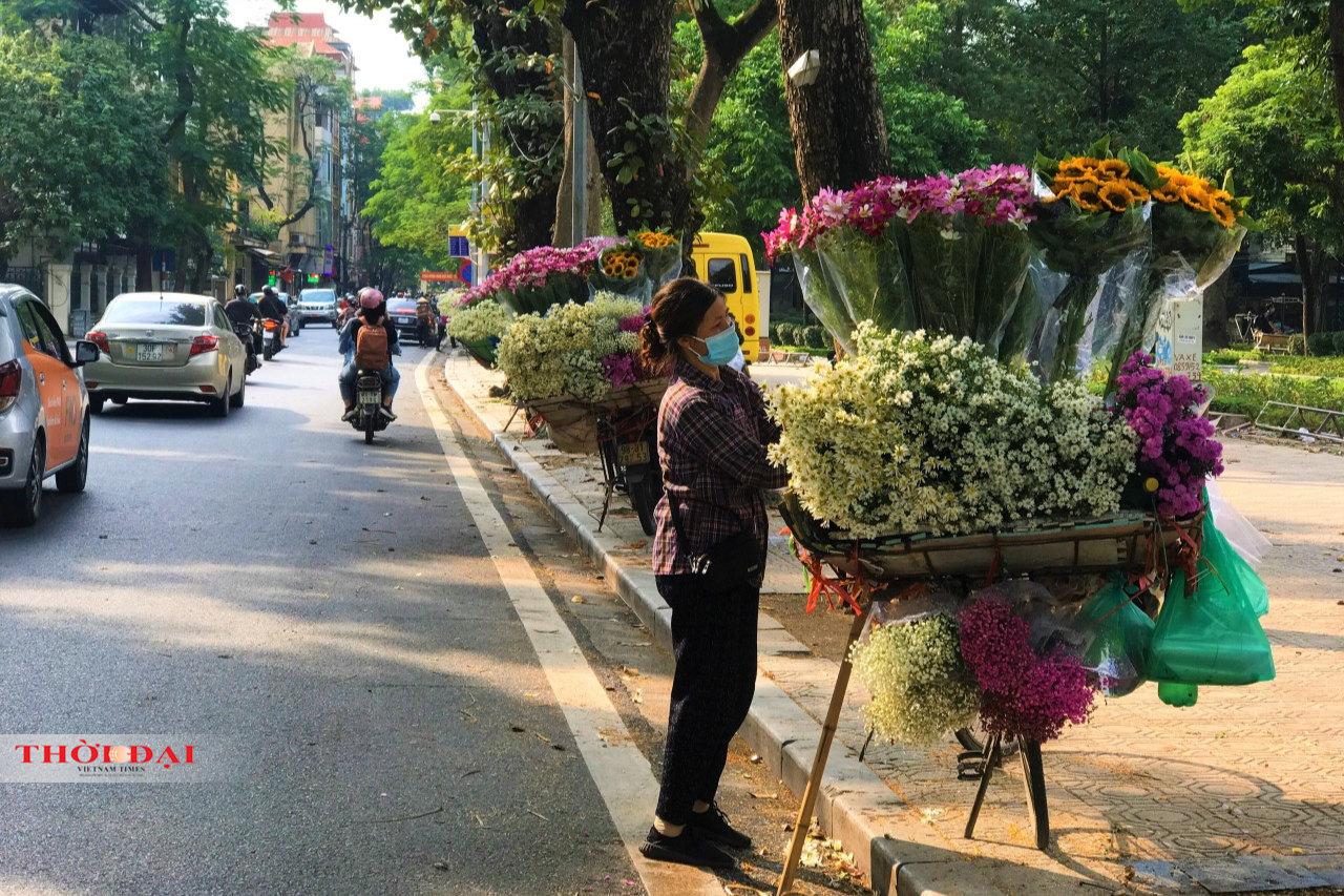 Những con phố bán nhiều hoa cúc họa mi nhất là Giảng Võ, Lê Văn Lương, Yên Phụ, Hàng Bông, Mai Xuân Thưởng, Phan Đình Phùng,… Những con phố bán nhiều hoa cúc họa mi nhất là Giảng Võ, Lê Văn Lương, Yên Phụ, Hàng Bông, Mai Xuân Thưởng, Phan Đình Phùng,…