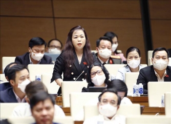 Quản lý đất đai đối với nhà đầu tư nước ngoài "núp bóng" doanh nghiệp, cá nhân của Việt Nam